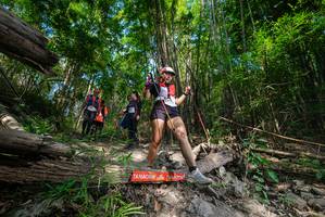 BIB: 
                            <button type="button" onclick="openModal(19388655)" class="btn btn-primary btn-sm float-right btn-popup" data-toggle="modal" data-target=".modal-high-quality">
                        <i class="fas fa-shopping-cart"></i> Add to Cart
                    </button>
                                            <button type="button" onclick="isThisMe(19388655, true)" class="btn btn-success btn-sm float-right btn-popup btn-isme hidden" data-toggle="tooltip" data-placement="bottom" title="นี่คือรูปของคุณใช่ไหม คลิกที่นี่เพื่อเอาเข้าอัลบั้ม">
                        <i class="fas fa-plus"></i> Add to album
                    </button>
                    <button type="button" onclick="isThisMe(19388655, false)" class="btn btn-warning btn-sm float-right btn-popup btn-isnotme hidden">
                        <i class="fas fa-ban"></i> Remove from album
                    </button>